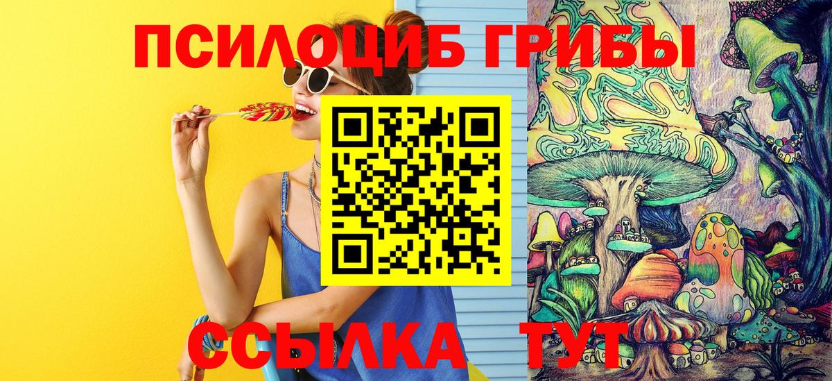 Галлюциногенные грибы ЛСД  Галлюциногенные грибы мицелий  Гурьевск  Вход с VPN 